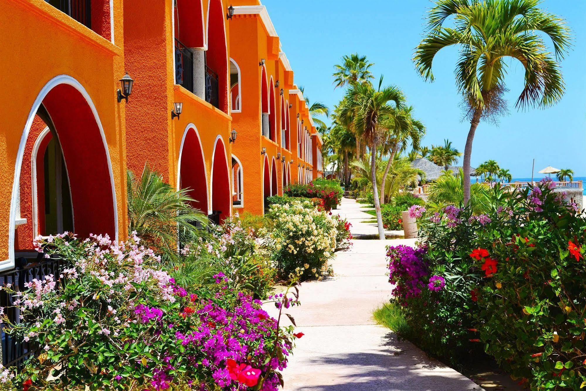Hotel Palmas De Cortez Los Barriles Exteriér fotografie